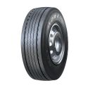 FORZA REG T